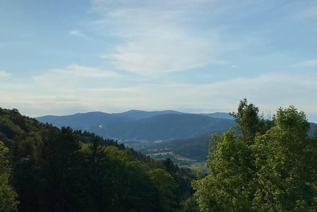 Urig / Mitten Im Bayerischen Wald + Schonblick + Netflix Schofweg Екстер'єр фото